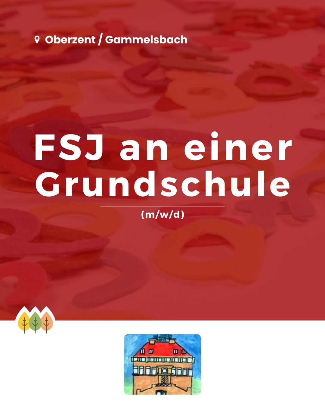 FSJ an einer Grundschule