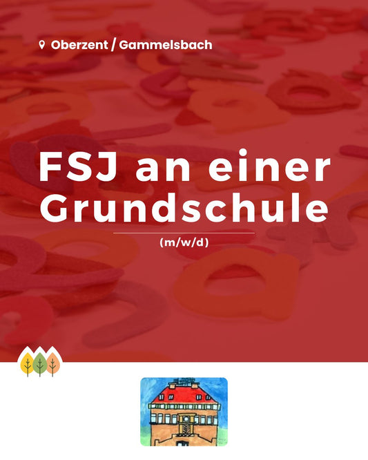 FSJ an einer Grundschule