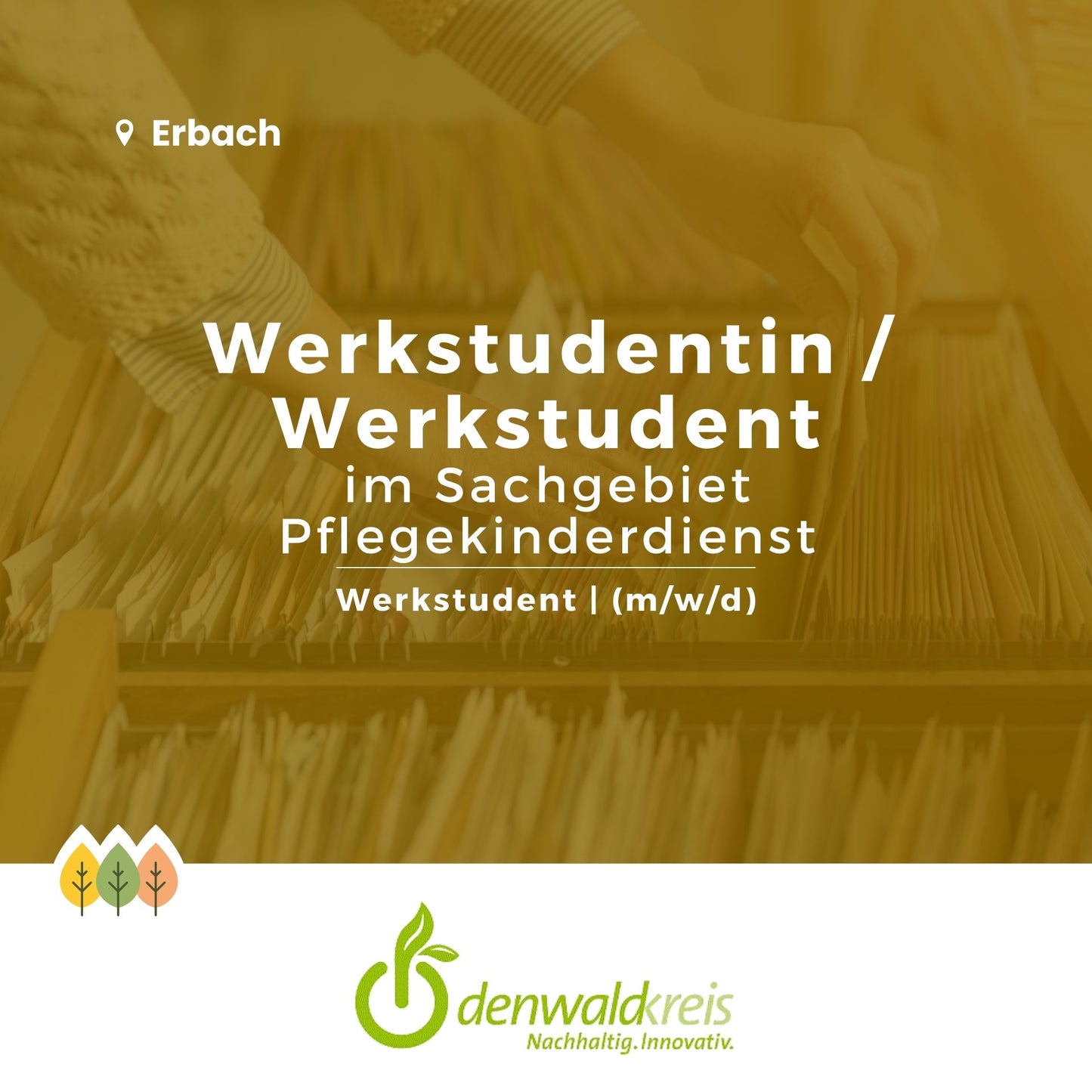 Werkstudentin / Werkstudent im Sachgebiet Pflegekinderdienst