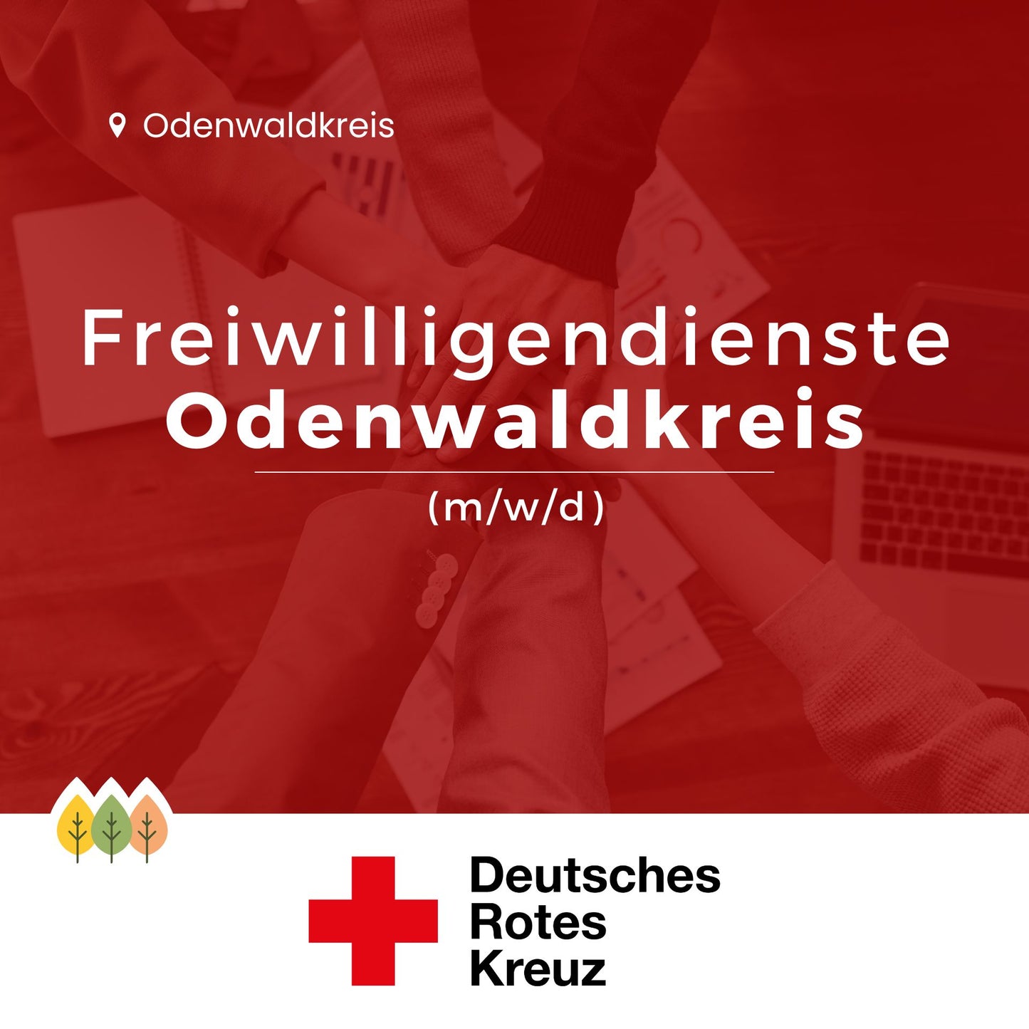 Freiwilligendienste Odenwaldkreis