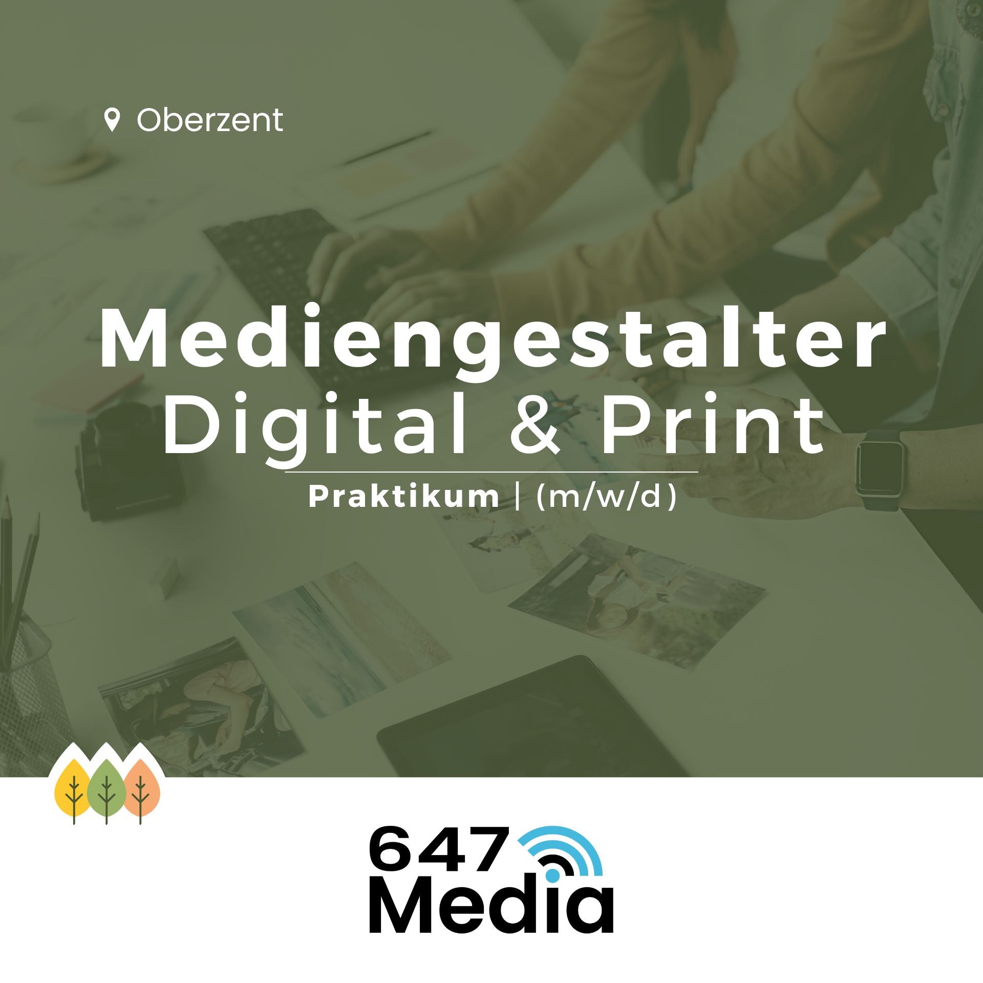 Mediengestalter Digital & Print – Berufswelt Odenwald - Odenwälder Jobbörse